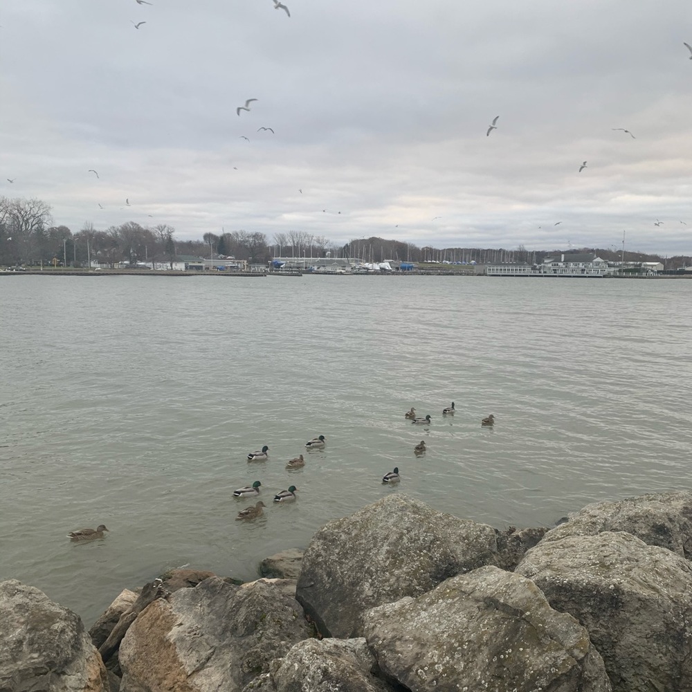 Meet your Posher, Suca